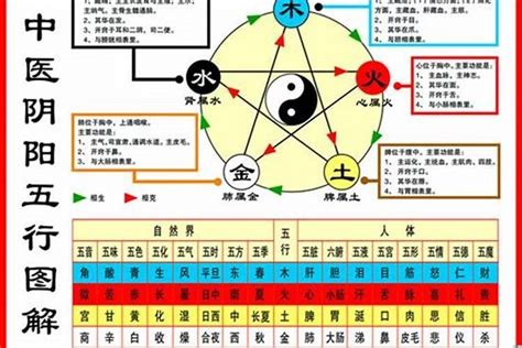 96年属鼠 五行|96年五行属什么？详解96年属鼠的五行属性和命运特点